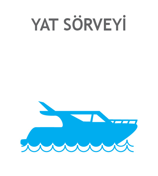 Yat Survey Ikon